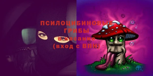 ГАЛЛЮЦИНОГЕННЫЕ ГРИБЫ Белоозёрский