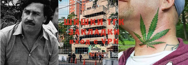 дживик Богородицк
