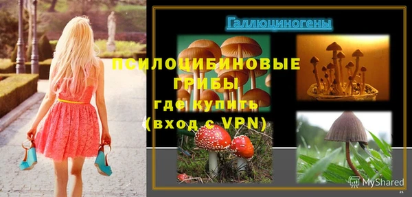 дживик Богородицк