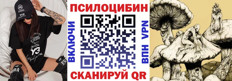 Псилоцибиновые грибы Psilocybine cubensis  ОМГ ОМГ рабочий сайт  Городище  как найти  
